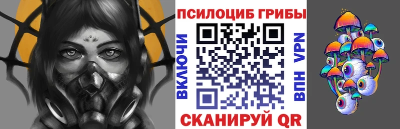 Галлюциногенные грибы Psilocybe  Новый Уренгой 