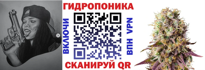 Бошки марихуана марихуана  блэк спрут рабочий сайт  Новый Уренгой 